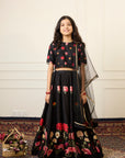 Lehenga Set
