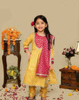 Spicy Mustard Anarkali