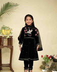 Velvet Anarkali Set