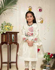 Ivory Embroided Chanderi Anarkali