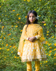 Midsummer Gold Hand Block Printed Chanderi Anarkal