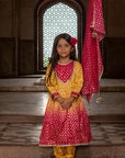 Ombre Mustard Anarkali
