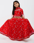 Red Lehenga in Bird Print
