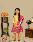 Embroidered Anarkali