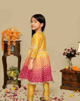 Embroidered Anarkali