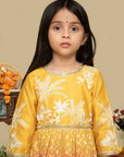 Embroidered Anarkali