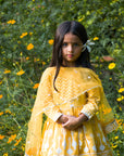 Midsummer Gold Hand Block Printed Chanderi Anarkal