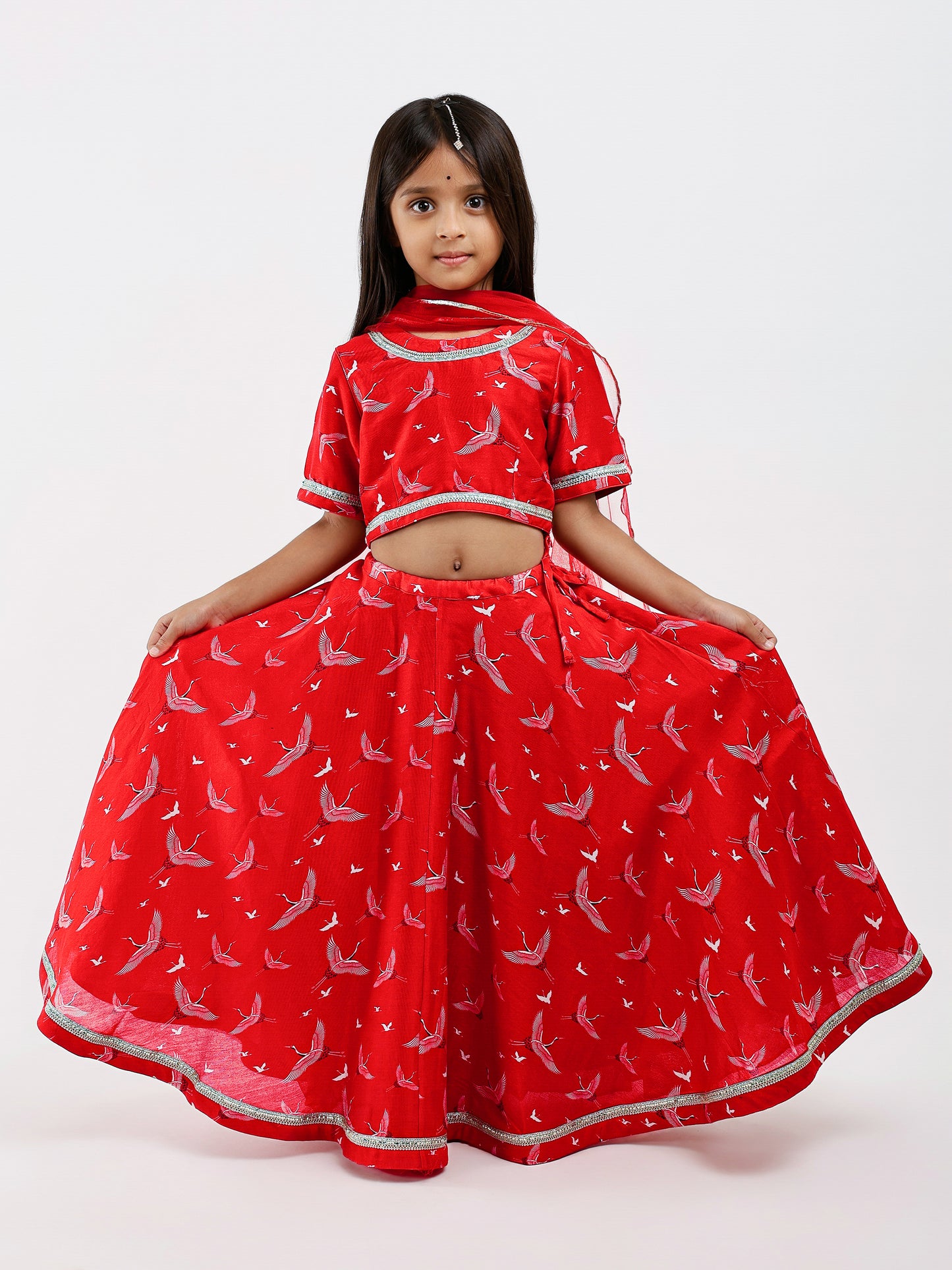 Red Lehenga in Bird Print